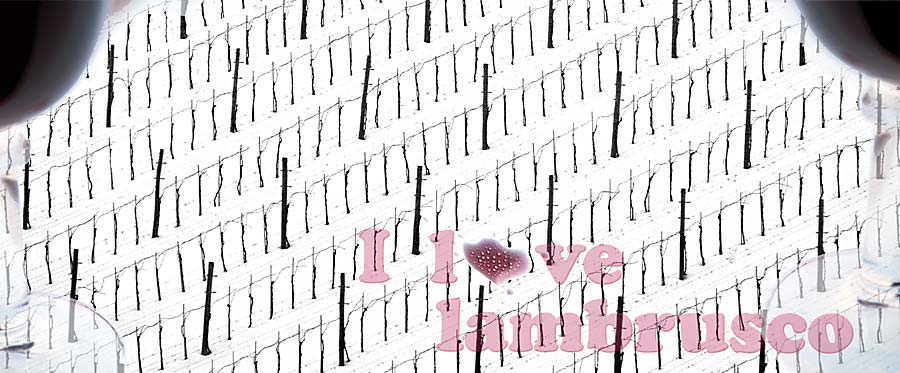 i love lambrusco